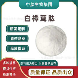 白桦茸肽 水溶低聚肽 白桦茸提取物 小分子活性肽 食品级 现货