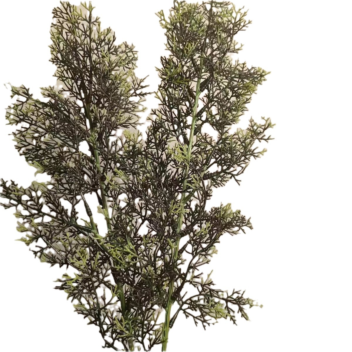 Simulación de hojas de pino y ciprés al por mayor de plástico ramas de pino y ciprés decoración interior y exterior hojas de pino hojas de árbol de navidad hojas individuales