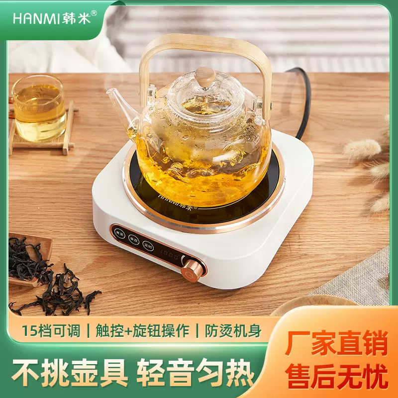 厂家110V小型外贸电陶炉家用煮茶炉迷你不挑锅玻璃煮茶器烧水套装