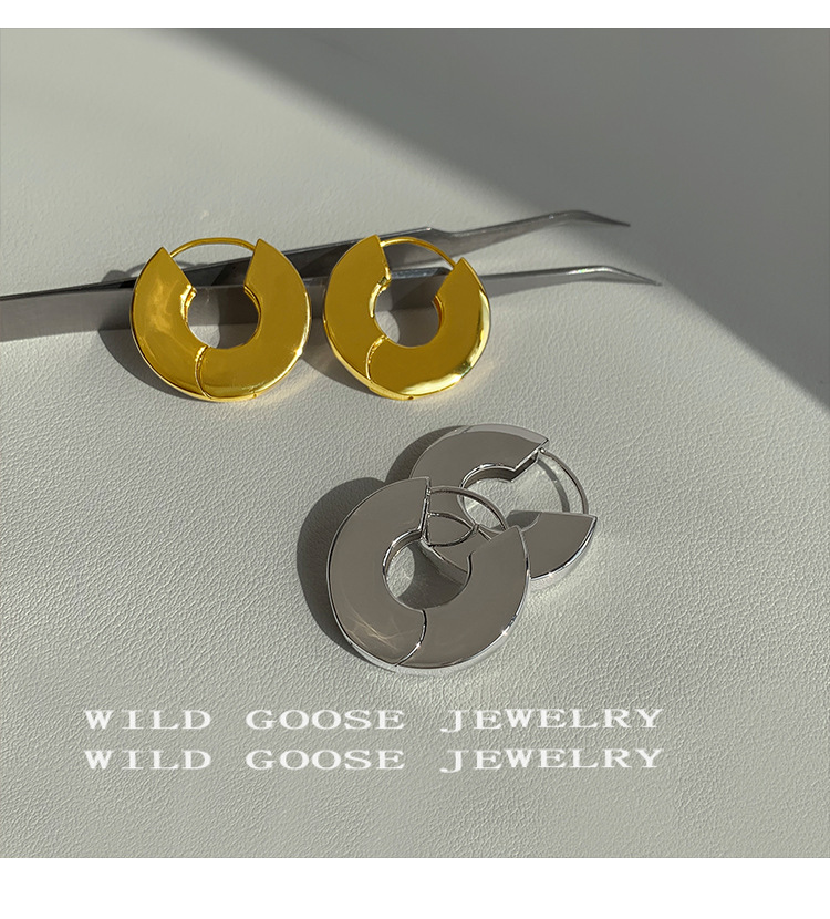 10g Weight Earrings Classification 1 Pair Quantity Daily Occasion Metal Material Geometric Pattern Women'S Gender Plating Design Fashion Style 1 Pair Fashion Geometric Metal Plating Women's Earrings 10