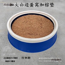 鸽子用品鸽子窝加厚塑料窝加大款式信鸽塑料巢盆鸽用具塑料麦太保
