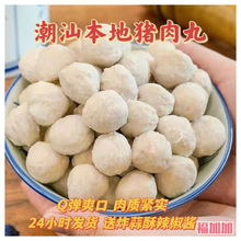 潮汕猪肉丸 潮汕特产手工丸子粿条汤粉火锅食材500g