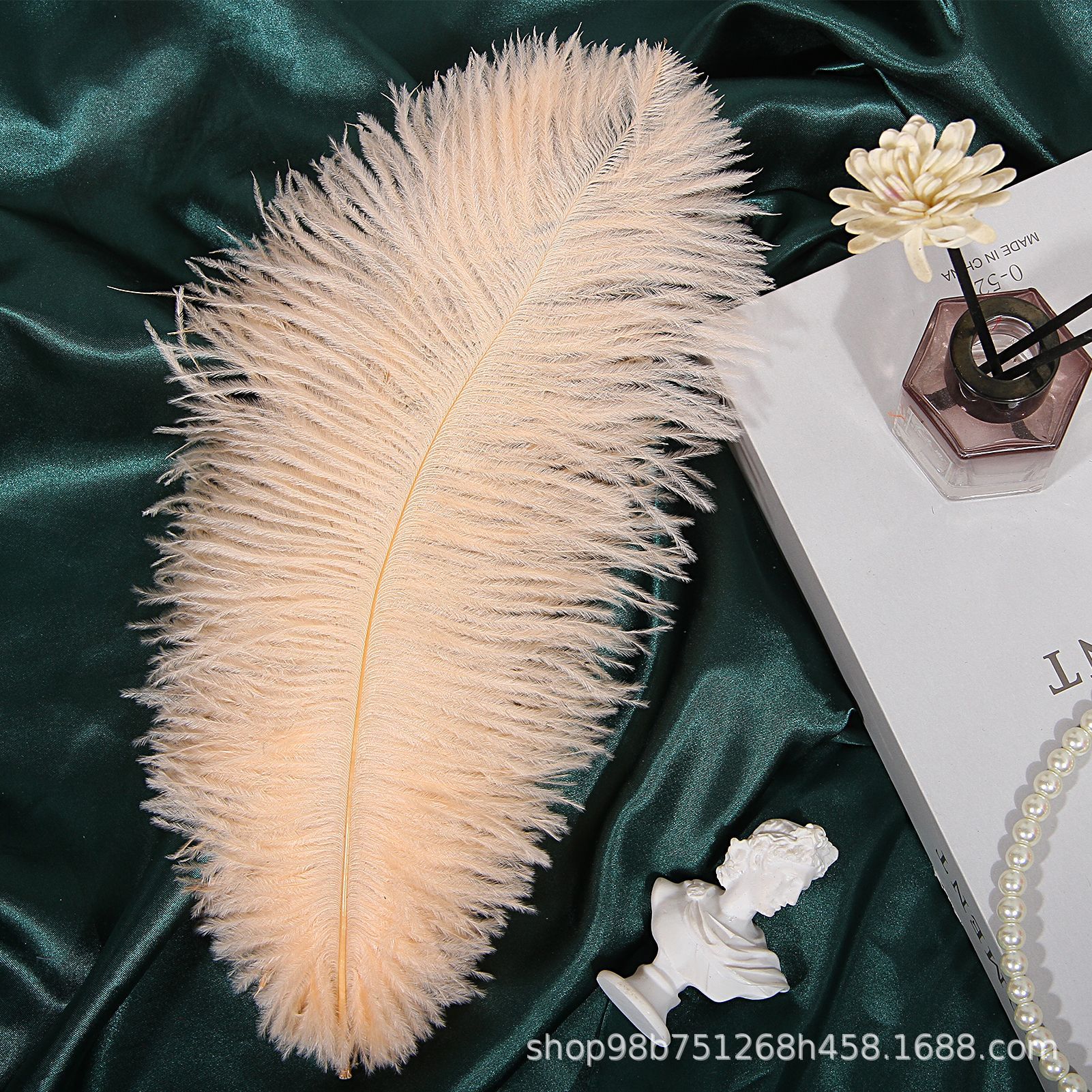 122 샴페인 (20-25CM)