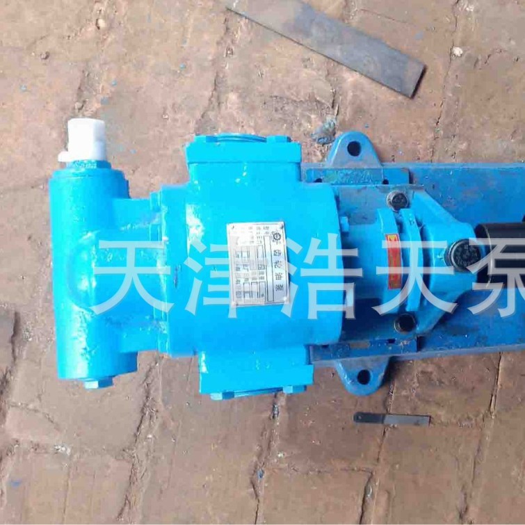 齿轮泵TDCLB 沥青齿轮泵 高温齿轮泵 保温齿轮泵 喷洒齿轮泵
