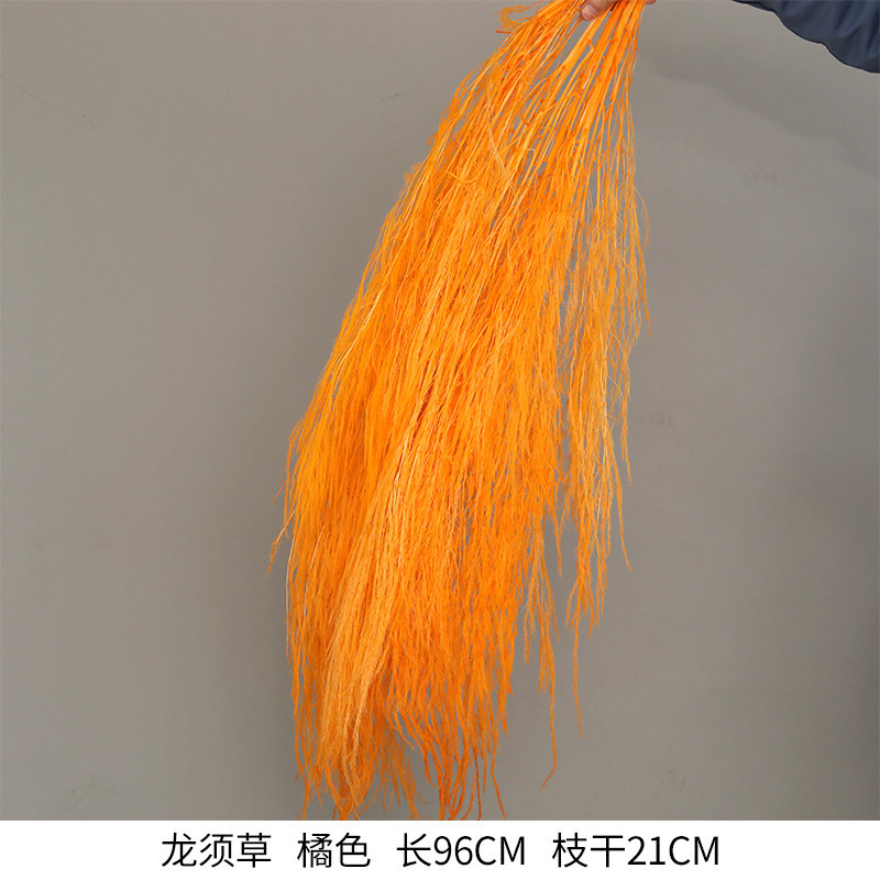 龙须草