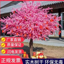 Ҙ ҃Ȼc̈һ b٘SҘl