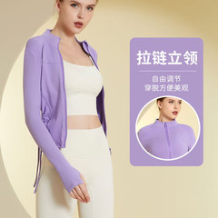 Women's Long Sleeve Fitness Jacket, Stand-up Collar, Tailored Sport Coat for Autumn/Winter, Outdoor Morning Run, Yoga Top with Zipper
