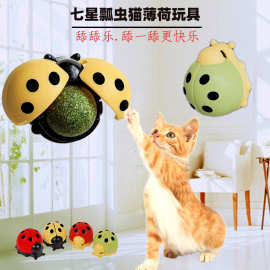 新品上架宠物玩具 七星瓢虫猫薄荷舔舔乐猫薄荷玩具现货批发