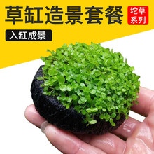 �B�~���쾰ˮ���ײ���׳ɾ���ݑ���ˮ��ſ�ذ�����ˮ��ֲ���~��