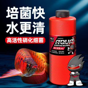 No1���������~�׃������������������B�~��Ʒ�~ș���ˮ�|������