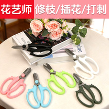 ���ռ�������ʦר�ò廨������֦�����ü���֦�޻�����ֻ�������