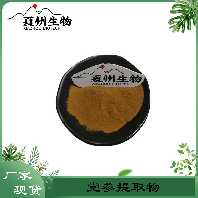 党参提取物 10/20/30:1 党参粉 党参提取物 党参多糖  厂家现货