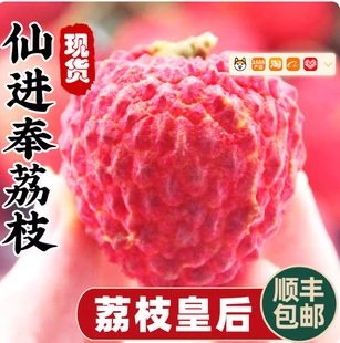 ��֦�ʺ����M���������Ц�����r��֦5��ˮ������������]����