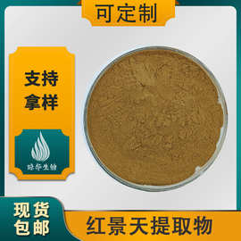 红景天提取物 琼华生物 红景天甙 红景天苷 红景天粉 量大从优