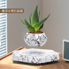 ��������ֲ������������ֲ������ֶ��⻨��diy�ڼ��߷���