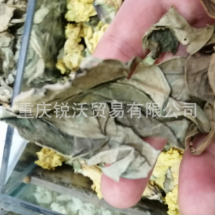 1�������lɢ�b��Ʒ��Ú�~�����~�����~��ζ�~ţ���~