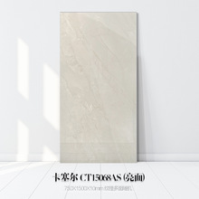 ����I���޴�ש750X1500��ǽ�CT15228AS����˹��CT15106������ש