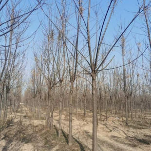 �������l �㴻 ��� ���ԃr�� ǧ�^�� �@�־��^�G����ľ�е���