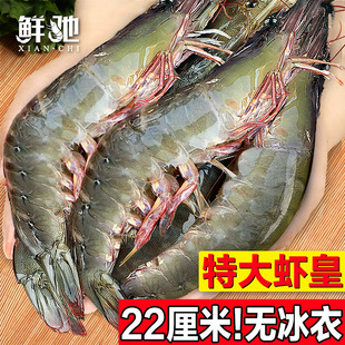 ���r�r�����u�����r������r�}���ك����r2030���rˮ�a���l