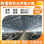 工厂农牧业养殖大棚养鸡养猪羊舍保温大棚日光温室椭圆管大棚钢架