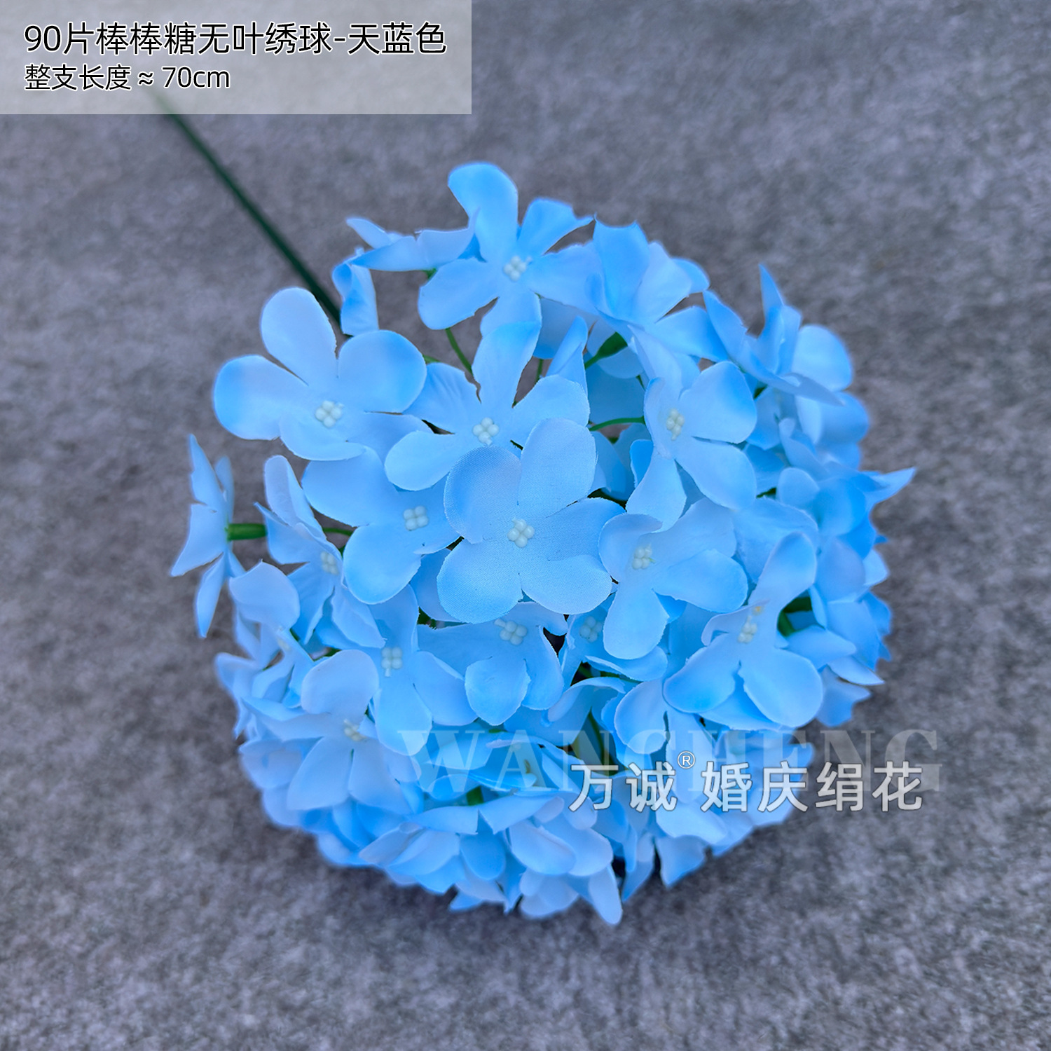 스카이 블루 90 롤리팝 수국 (잎 없음)