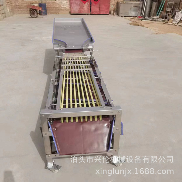 Household belt-type fruit sorting machine
