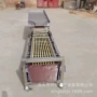 秋月橘子大枣选果机