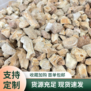 Natural shark vertebra fossil Canglong vertebra ancient marine life dinosaur keel popular science teaching specimen wholesale