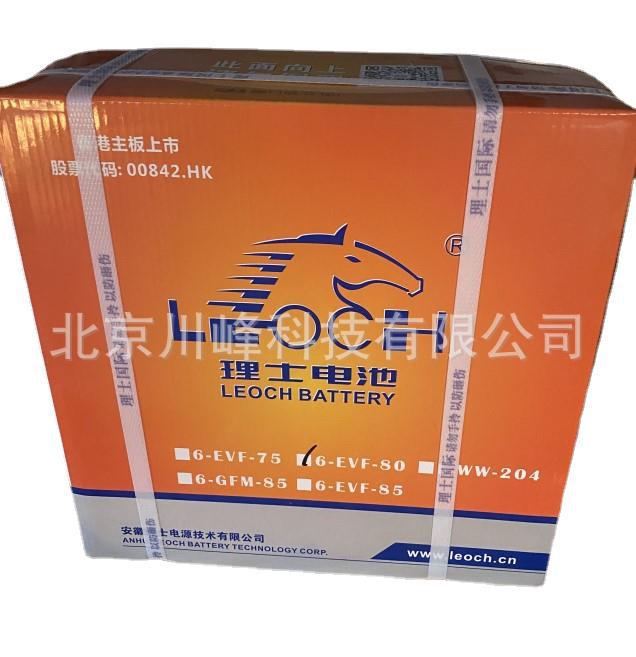 LEOCH理士6-EVF-75适用于高尔夫球车蓄电池理士电池