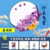 [✦◕✦◕]Basic version - Zhu Yizi [✦◕✦◕]