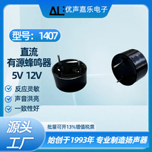5V 12V 14mm*7mm1407������ֱ����Դһ��ʽѹ��ʽ ����ǹ ������