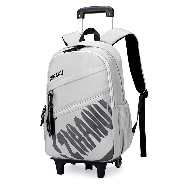 Mochila de pescado natural para niños de grado 3 - 6 con ruedas para subir escaleras, mochila de secundaria secundaria