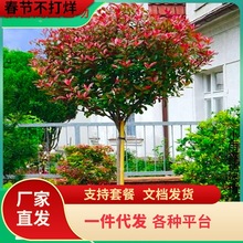 һlt~ʯߗUСͥԺ@־G繤