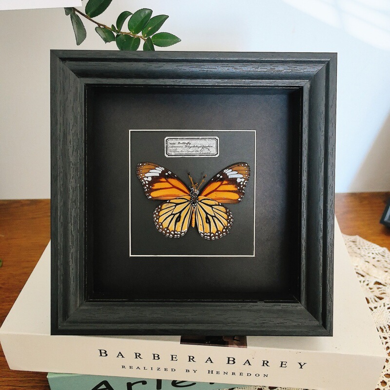 Hollow Stereo Glass Photo Frame Black High-End Butterfly Specimen Frame Square Large Size Picture Frame Wall Hanging Display Frame