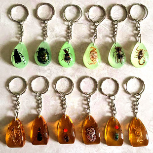 �����x�˱�����耳׿ے�����c�ؔ��W���W�����ֱ֬���Ʒ���l