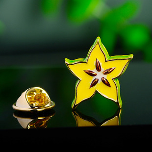 Japanese and Korean cute carambola Star anti-exposure small brooch fashion simple creative small pin fixed clothes accessories for women
