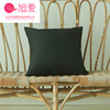 The new solid color pillow does not contain a modern minimalist Ins wind Cleine Claine pillow pillow water pillow sleeve