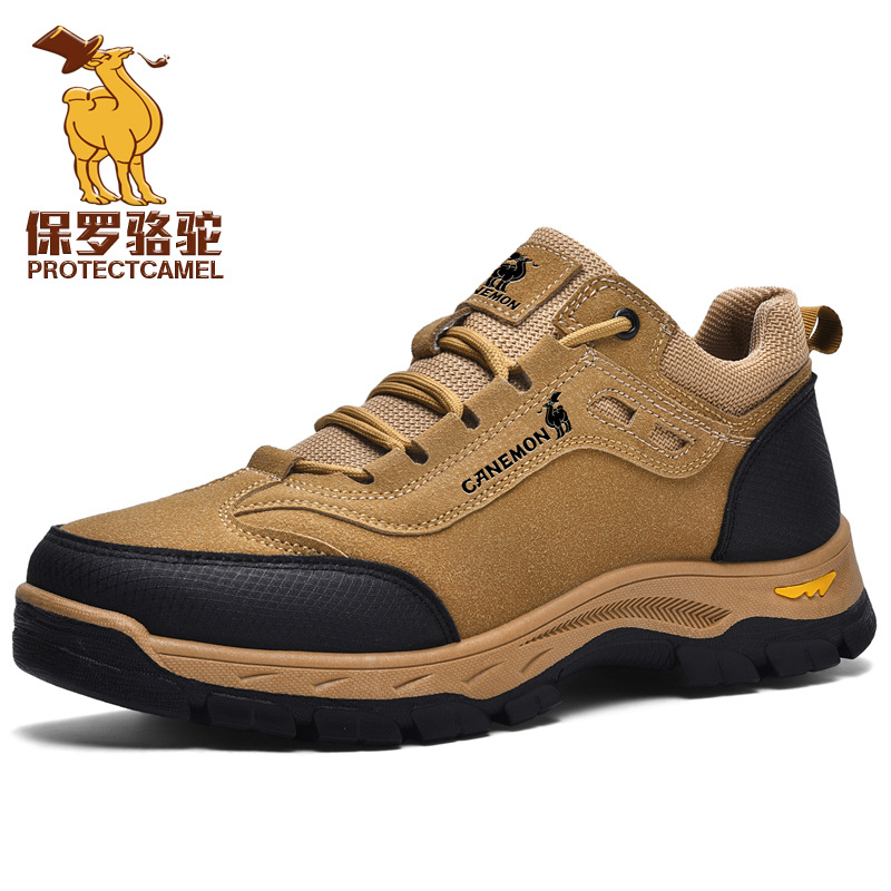 HB2537 브라운
