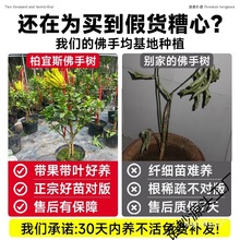 ���ָ̘������Ԏ����҃��̨ͥԺ�Ϙ����A�����r������B��������