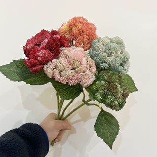 �����Ʒ�|ܛ�z�����������й�����������b���ҾӶ�����滨