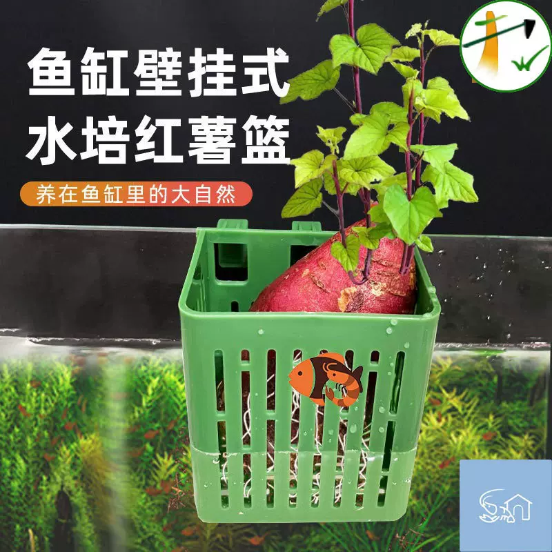 鱼缸水培定植篮壁挂式水草杯水上挺水植物种植篮鱼缸造景装饰配件