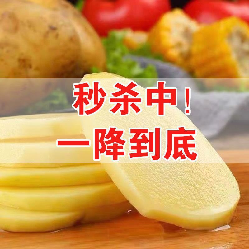 爆款【批发价】黄皮土豆10/5斤批发新鲜蔬菜现挖马铃薯洋芋非红皮