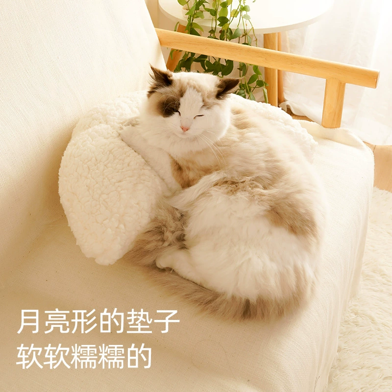 Кошачья трава гнездо коврик диван сидит на пирсе