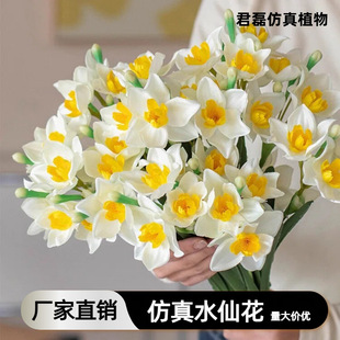 ˮ�ɻ����滨��ˮ�ɻ�������������c�ٻ��Ҿӿ͏d�[���Ĕz����