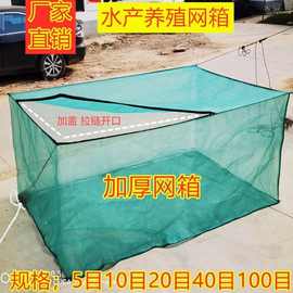 加厚 加盖网箱养鱼网箱泥鳅黄鳝网箱水产养殖网箱尼龙不伤鱼网箱