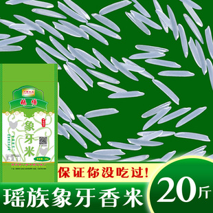 ؈���׏V��������������һ�����l���l