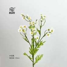 Ʒʾշ滨͏d[ҾߔzӰb컨ɭϵc·廨