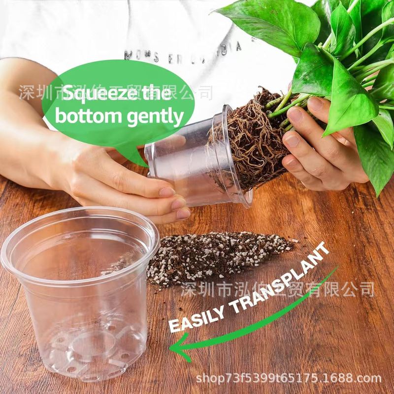 排水穴付きクロスボーダープラスチック底ドット透明植木鉢花植物容器胡蝶蘭多肉植物苗ポット|undefined