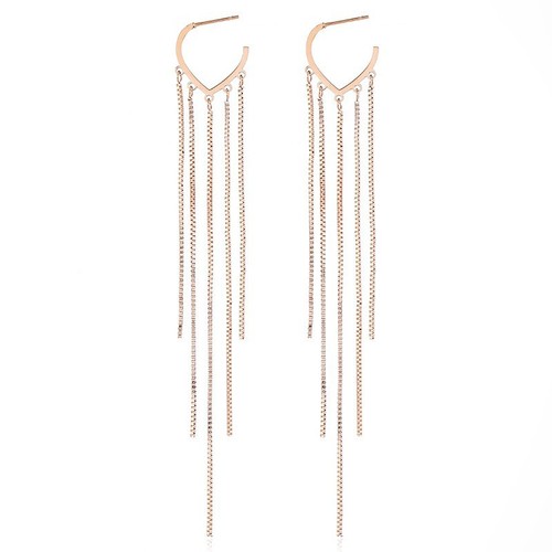 Titanium Steel Earrings Women's Korean Fashion Commuting Stainless Steel Ear Studs European and American Earrings New Style 