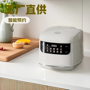 Factory Direct Supply Rice Cooker Household Cross-border Multi-function Timing Reservation 110v220v Rice Cooker Mini Rice Cooker
